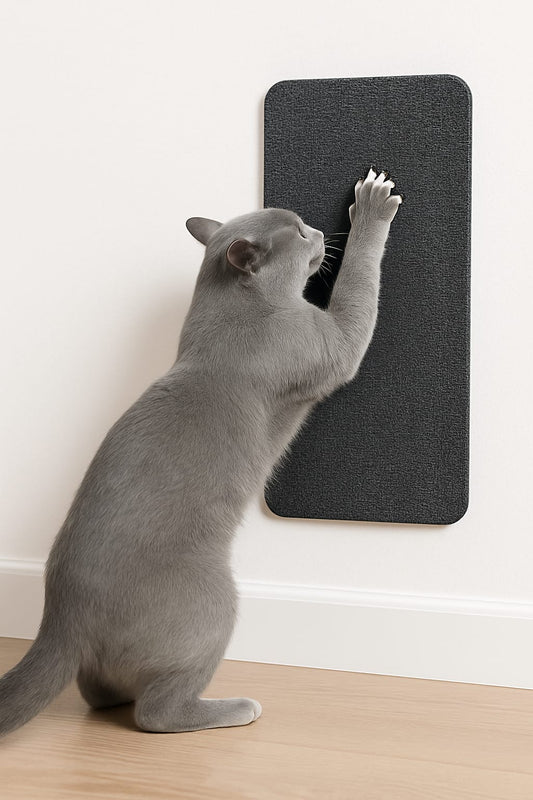 שטיח אסתטי לחתול