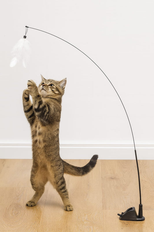 משחק מעשיר שירגיע את החתול שלך